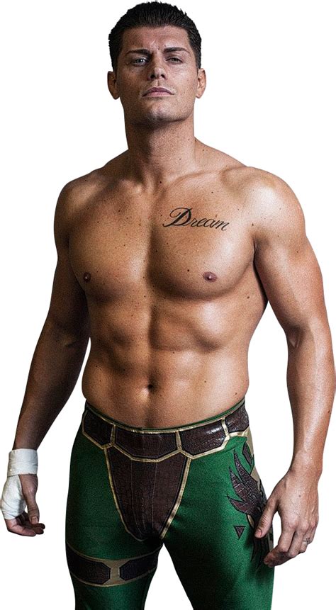 Cody Rhodes TNA 2016 PNG By AmbriegnsAsylum16 On DeviantArt