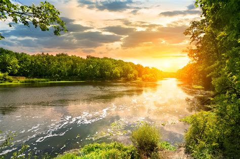 Forest River Sunset Wallpapers High Quality Download Free