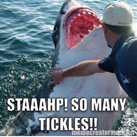 staaahp so many tickles funny shark meme image for facebook shark jokes shark week memes
