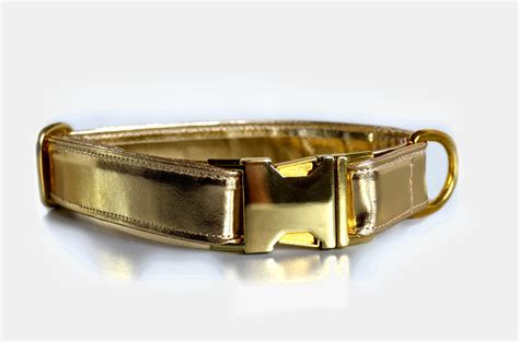 24 Carat Gold Dog Collar Gold Dog Collar Showy Collar Etsy