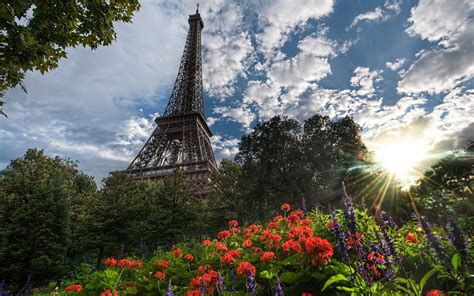 Eiffel Tower Paris Nature Trees Flowers France Sunlight Cities Skies