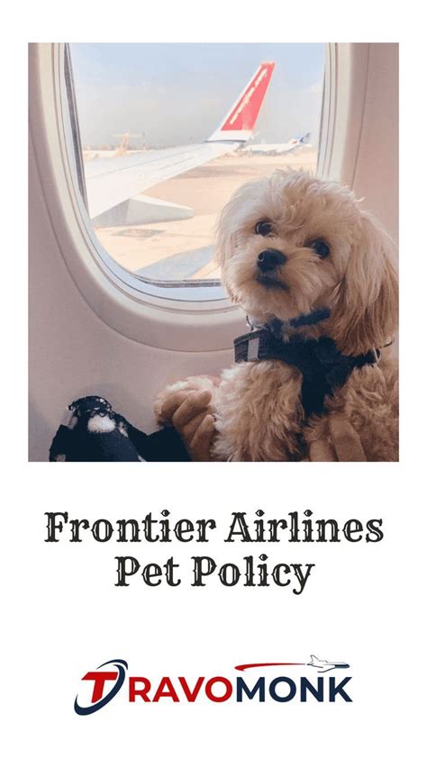 Frontier Airlines Pet Policy Frontier Us Travel Carriers Airlines