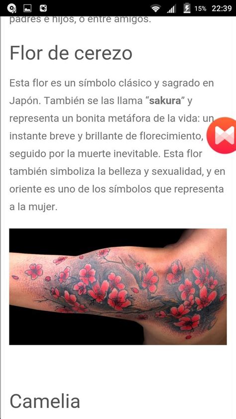 Pin De Dayana En Tattoo Belleza Sakura Japon