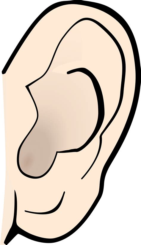 Cartoon Characters With Big Ears Man With Big Ear Stock Vector