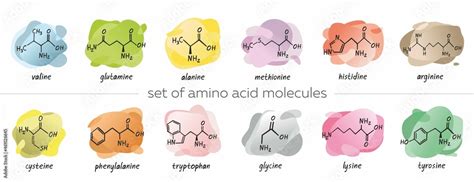 Top 87 Imagen Amino Acids Background Vn