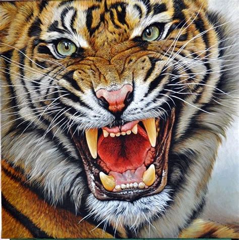 The Roar Tiger Painting Art Illustration Tiger Painting Tiger