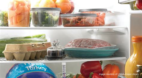Refrigerator And Freezer Storage Unl Food