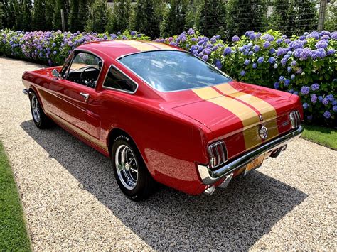 1966 Shelby Mustang Gt 350h For Sale East End Restoration
