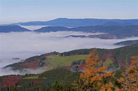 Herbstnebel Black Forest Fall Color Mountain Nature Free Image Peakpx