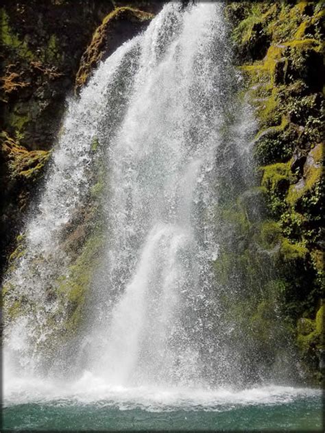 Umpqua National Forest Fall Creek Falls National Recreation Trail 1502