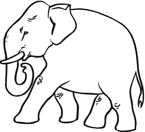 Elephant Colouring In Pages Background Super Coloring