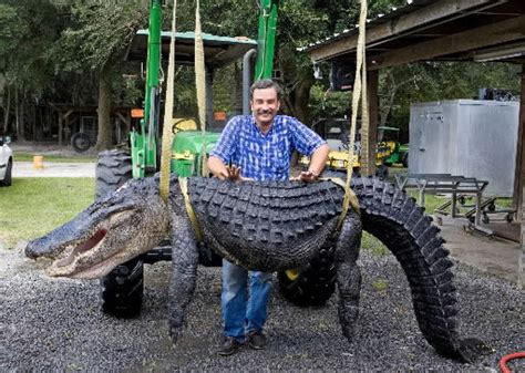 Local Man Bags 12 Foot Alligator News
