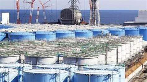 The Japanese Government Decides On The 27th How To Dispose Of