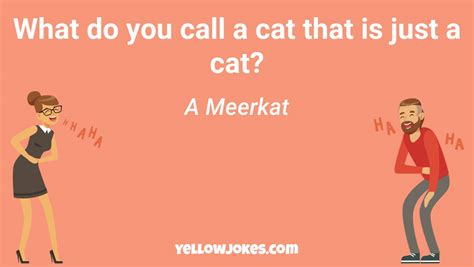 Hilarious Meerkat Jokes That Will Make You Laugh