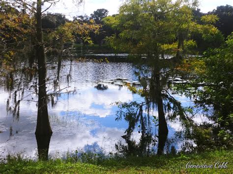Park Lake Concord Park Reviews And Photos 95 Triplet Lake Dr Casselberry Fl 32707 Usa