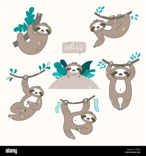 Vector Set Of Cute Sloths In Different Positions Cartoon Funny Kawaii