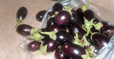 Makdoos With Images Pickled Eggplant Lebanese Cuisine Food