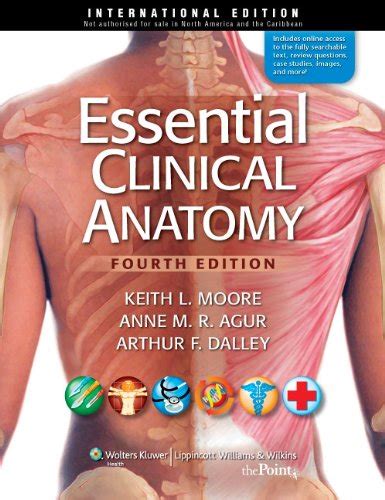 9781609131128 Essential Clinical Anatomy Iberlibro Moore Keith L