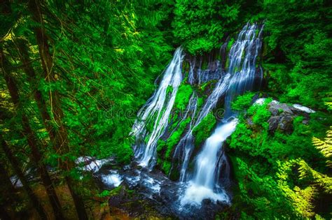 Panther Creek Falls Ford Pinchot National Forest Wasington Stock