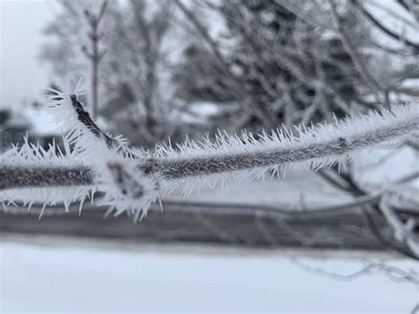 Weather Art Spectacular Rime Ice Formations Across Minnesota Mpr News