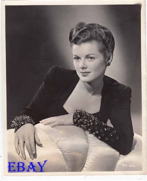 Barbara Hale Sexy Vintage Photo Ebay