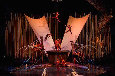 Cirque Du Soleil Varekai In Vancouver Vancouver Blog Miss604