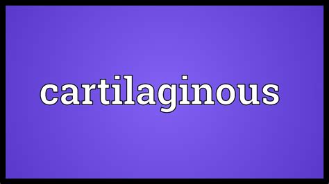 Cartilaginous Meaning Youtube