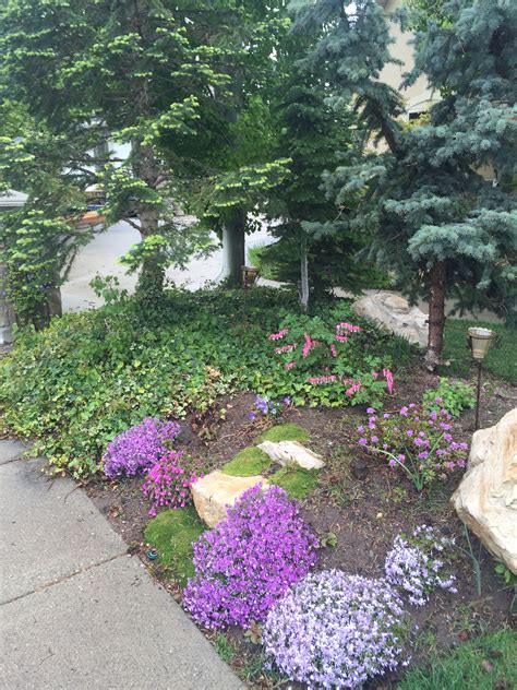 Pin by Reija Toscano on Starlight Pool and Spa, Backyard Oasis