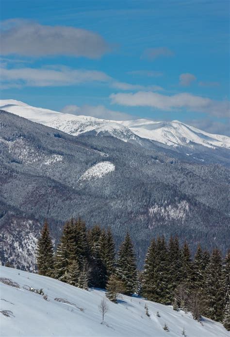 Winter Snowy Carpathian Mountains Ukraine Stock Photo Image Of