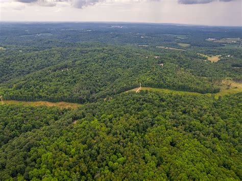 149 Acre Carroll Co. Hunter's Paradise Absolute Live Auction