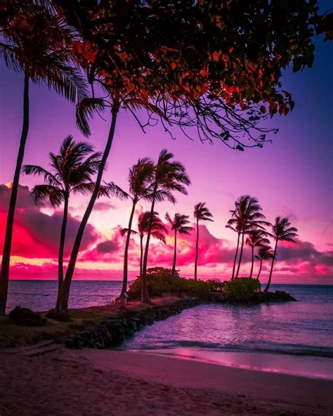 4 869 likes 41 comments 🍍 hawaii 🍍 nakedhawaii on instagram “violet paradise 🌴💜