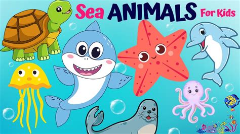 Learn About Sea Animals Sea Animals For Kids Youtube