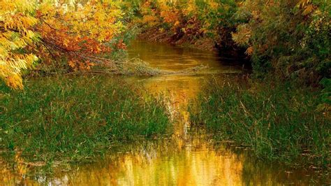 Peaceful River During Autumn Hd Nature Wallpapers Hd