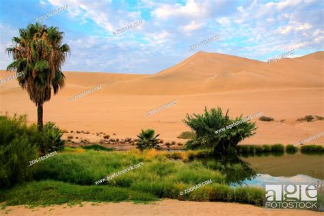 Oasis Of Huacachina In The Morning Ica Region Peru Stock Photo