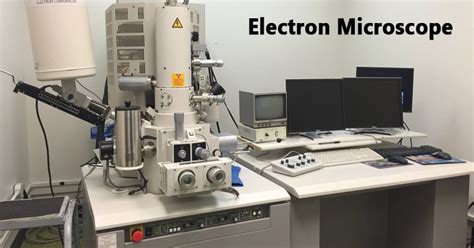 Awesome Tips About Scanning And Transmission Electron Microscopy From