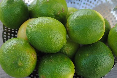 Lemon Fruits Food Free Photo On Pixabay Pixabay