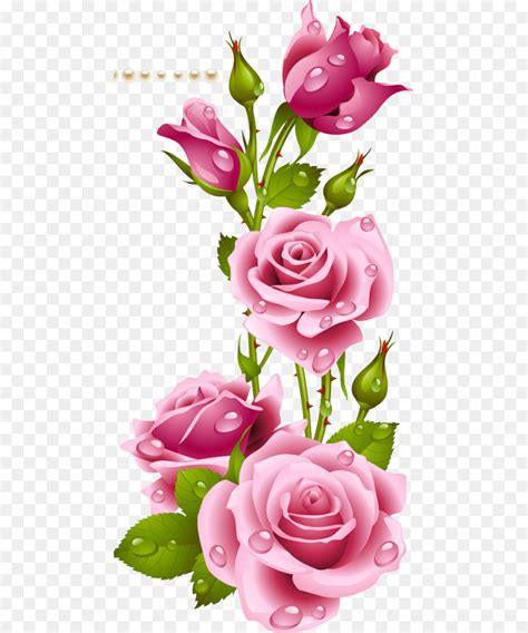 534 Wallpaper Bunga Rose Pink Images Myweb