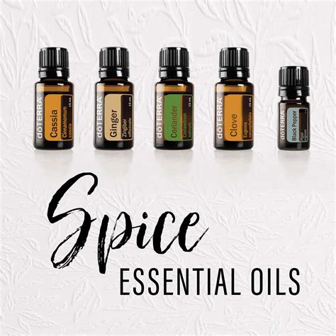 Using The Spice Essential Oils D Terra Essential Oils