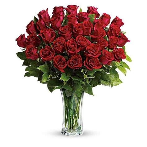 Three Dozen Long Stem Red Roses 36 Between Flowers Design Florist In