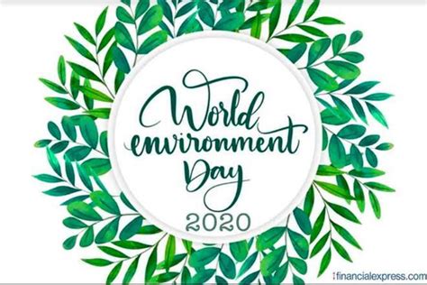 World environment day 2020 theme: World Environment Day 2020: Date, theme, significance and ...