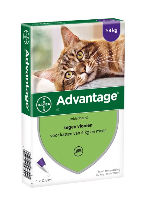 Three cancer treatment options for cats. Advantage Cat | Spot-On Flea treatment for Cats | Petduka ...