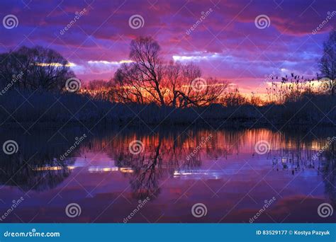 Bright Sunset On A Wild Lake In Lilac Tones Stock Image Image Of Blue