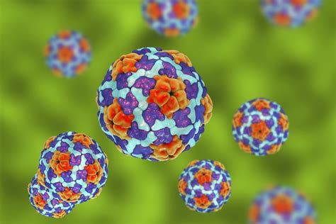 Goals and endpoints of hcv therapy. Hepatitis A Infections Spark Health Warning for ...
