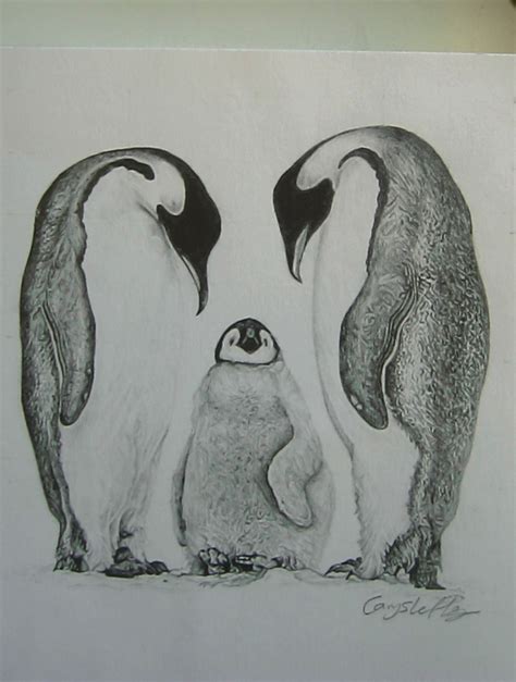 Penguins Drawing By Caryselenleftley On Deviantart