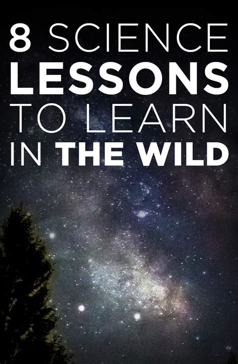 8 Science Lessons To Learn In The Wild Parenting Gone Wild
