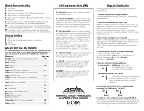 American Spinal Cord Injury Association Asia Impairment Scale