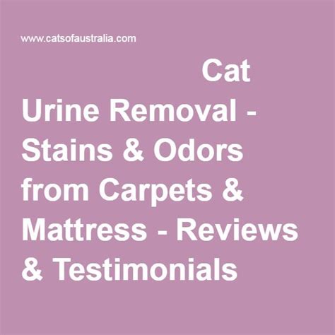 As with any stain removal task, acting quickly is the thumb rule to remove stain and odor easily. Cat Urine Removal - Stains & Odors from Carpets & Mattress ...