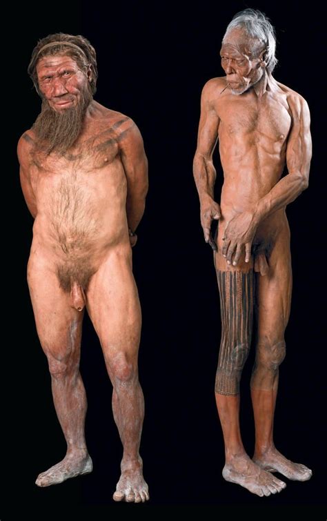 Neandertal Left Homosapiens Right Neanderthal Ancient Humans