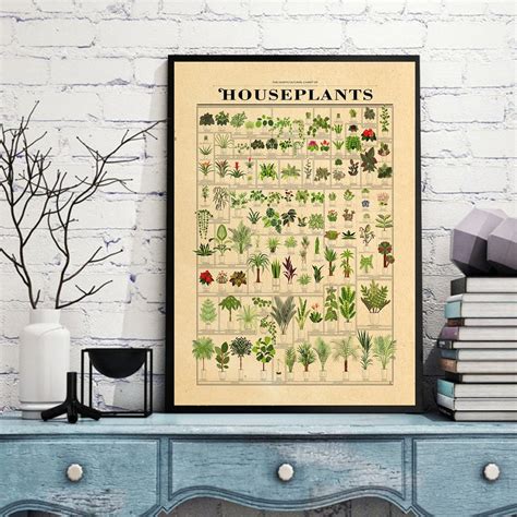 The Horticultural Chart Of Houseplants Poster Plants Poster Etsy