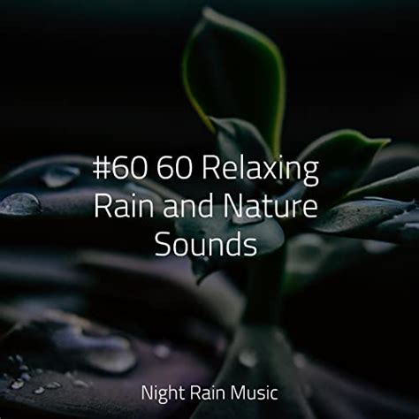 60 60 Relaxing Rain And Nature Sounds Von Massage Therapy Music Fx And Effects And Nature Sound